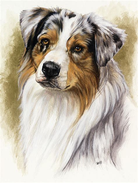 Australian Shepherd Painting By Barbara Keith Fine Art America