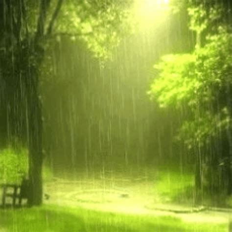 Beautiful Rain Live Wallpaper Amazonca Appstore For Android