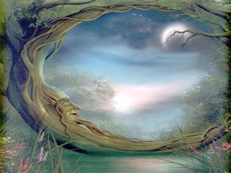 Mystical Fairy Enchanted Forest Wallpaper Mural Wall