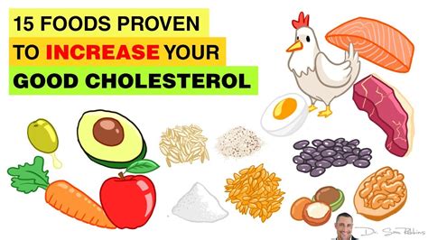 🥥 Hdl 15 Foods Proven To Increase Your Good Cholesterol By Dr Sam