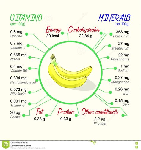 Nutritional Value of Banana Stock Vector - Illustration of calories ...