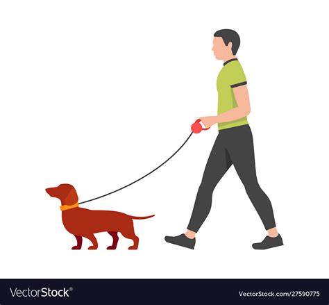 557 Person Walking Dog Side View Stock Photos Pictures Royalty Free