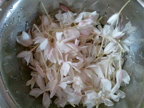 They are traditionally used for scenting tea but can also be added to shellfish dishes. My Daily Life Adventures: September 2011