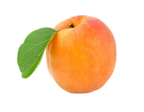 Apricot Apricot Fruit Fruit Picture Fruit