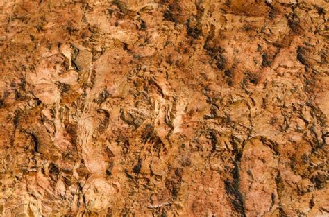 Image Of Detail Shot Of Textured Orange Rock Austockphoto