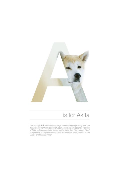 Alphabetical order is a system whereby character strings are placed in order based on the position of the characters in the conventional ordering of an alphabet. Dog Alphabet That I Made From The First Letters Of Their ...