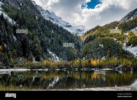 Reflection Of Autumn Forest At Lac De Derborence In Valais Stock Photo