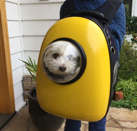 Pet carrier backpack capsule travel dog cat bag breathable astronaut bubble cute. A Walk With a View: U-Pet Bubble Window Pet Backpack ...
