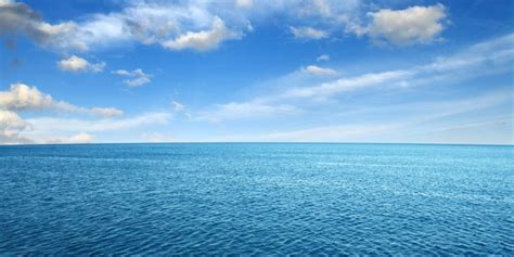 Océano Concepto Mar Y El Océano Más Grande Del Mundo