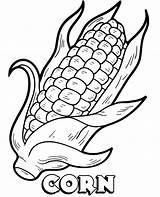 Coloring Corn Cob Vegetable Printable Sheet Vegetables Popular sketch template