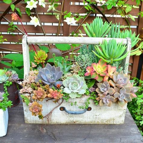 40 Amazing And Easy Outdoor Succulent Garden Ideas For You And Your