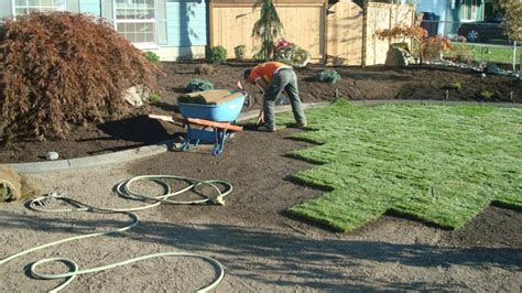 Domyown has been helping people control pest infestations in homes … Guide for the Do's & Don'ts of Sod - Dogwood Lawns