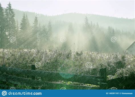 Bright Shiny Morning In A Mountain Village Stock Image Image Of Grass