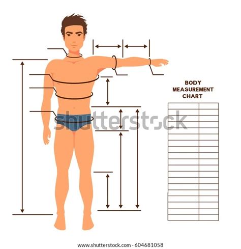 Printable Male Body Measurements Chart Printable Word Searches