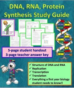 Online practice pax rn test chapter 1 heart and brain activity, dna, rna and protein. DNA, RNA, Protein Synthesis Worksheet / Study Guide | Teaching biology, Biology classroom ...