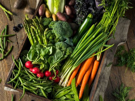 Harvesting Vegetables When And How To Harvest Vegetables