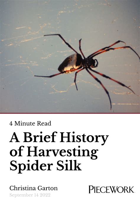 A Brief History Of Harvesting Spider Silk Piecework