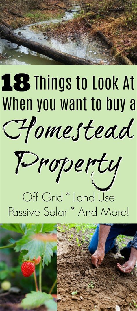 Buying Homestead Land 18 Items To Consider Before You Purchase