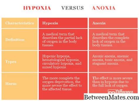 Hipoxia Y Anoxia Enfermedad 2024