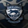 We hope you enjoy our growing collection of hd images to use as a background or home screen for your. Geelong desktop wallpapers | Page 9 | BigFooty