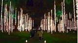 Brookgreen Gardens Lights Images