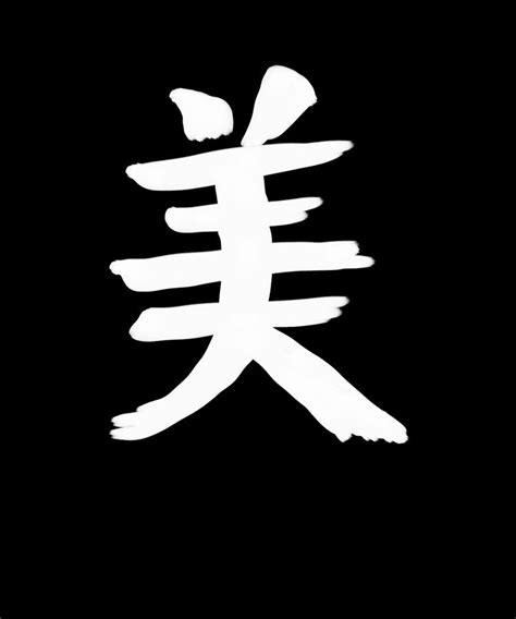 Beauty Chinese Character Hand Drawn Symbol China Digital Art By Manuel