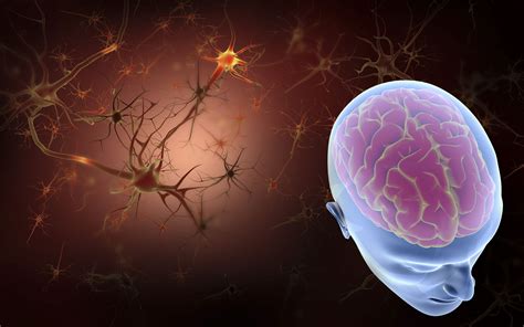 Frequency, characteristics, and risk factors. Nicotine 101 - Effects on the Brain