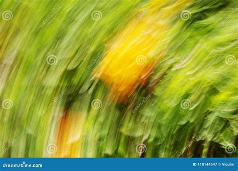 Abstract Motion Blur Effect Spring Blurred Flowers Stock Image