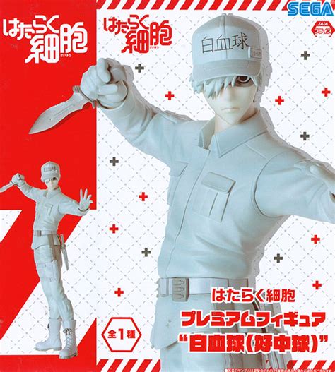 A brief description of the manga the reincarnation magician of the inferior eyes: フィギュア通販 ふむおでポン | はたらく細胞 PMフィギュア 白血 ...