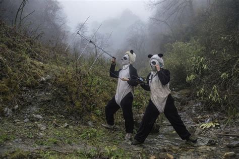 These Panda Carers Wear Scary Pee Soaked Costumes But Its For A Good