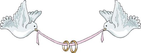 Wedding Doves With Rings Png
