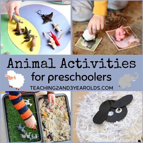 Animal Activities For Preschool