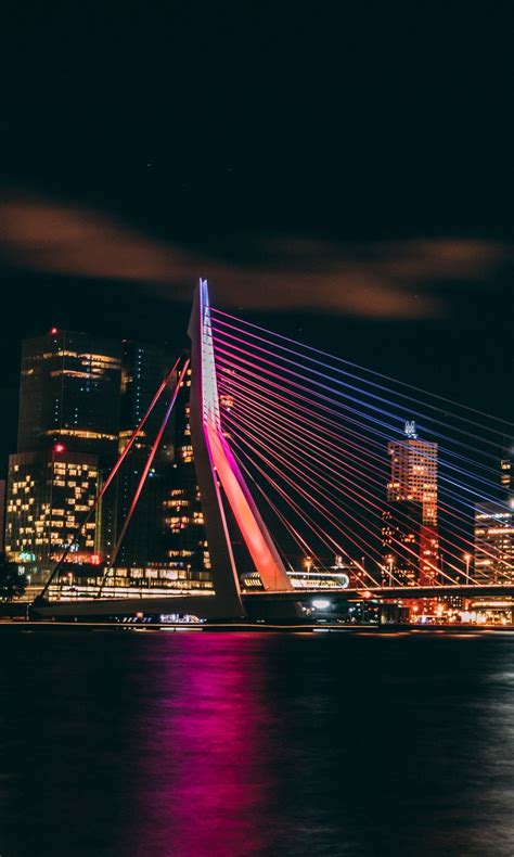 Rotterdam ) is the second largest city and municipality in the netherlands. Erasmus Bridge at Night Rotterdam Netherlands 5K Wallpapers | HD Wallpapers | ID #29724