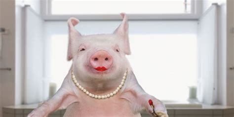 “lipstick On A Pig” Time Warner Cable “deceived The Fcc” In Speed