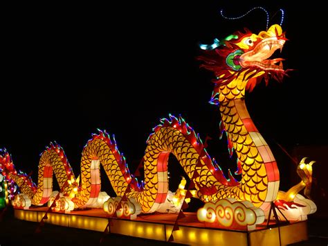 Download Colors Light Chinese Dragon Holiday Chinese New Year Hd Wallpaper