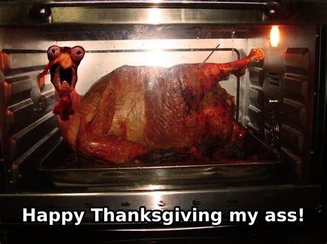 thanksgiving images happy thanksgiving adult humor quick happy thanksgiving day