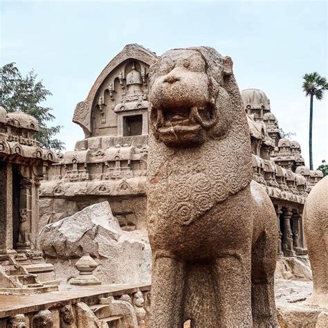 Mamallapuram Solid Granite Temples Lion Sculpture Mount