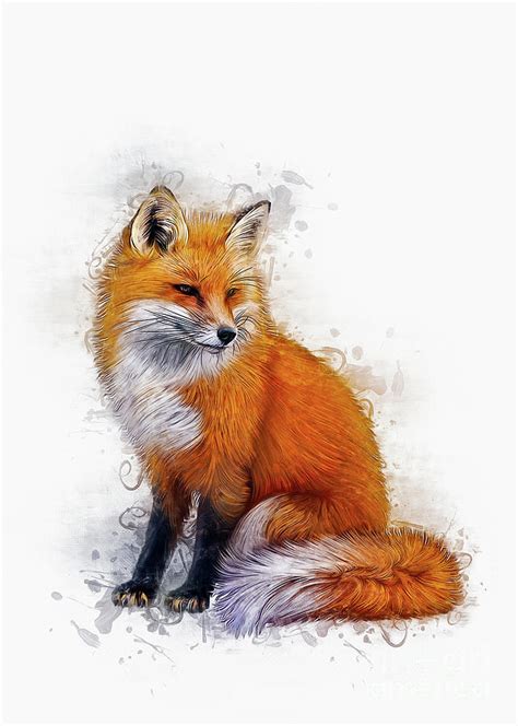 The Fox Digital Art By Ian Mitchell Fine Art America