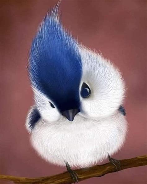A Blue And White Bird Sitting On Top Of A Branch