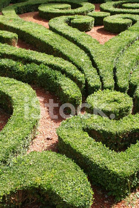 Foto De Stock Hedges Libre De Derechos Freeimages