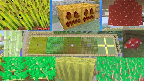How To Efficiently Plantgrow Crops In Minecraft