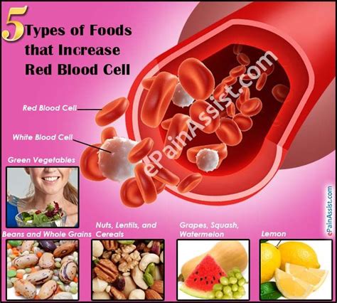 Diet To Increase Red Blood Cell Count Health Blog