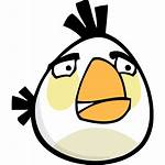 Icon Angry Bird Birds Icons Ico Sizes