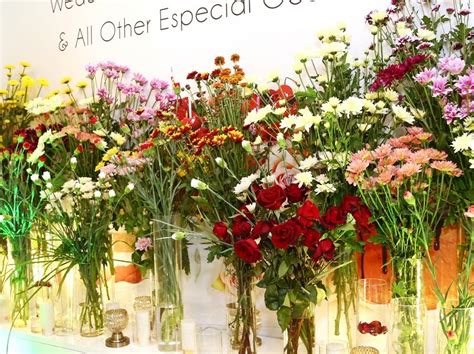 Lassana Flora Archives | Pulse