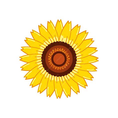 Premium Vector Sunflower Vector Illustration Icon