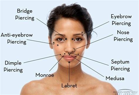 Face Guide Face Piercings Facial Piercings Piercing Chart