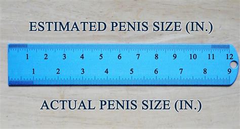 How Accurate Do You Think This Penis Size Ruler Is Girlsaskguys