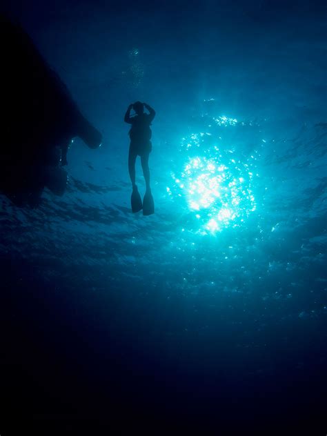 Underwater Photography Photographer Nicholas Samaras ~ Pix Addictoin