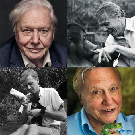 Do You Know Who David Attenborough Is