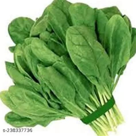 Hybrid Spinach Seeds Pack Of 45 Seeds